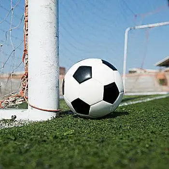 体育爱好者学习场景